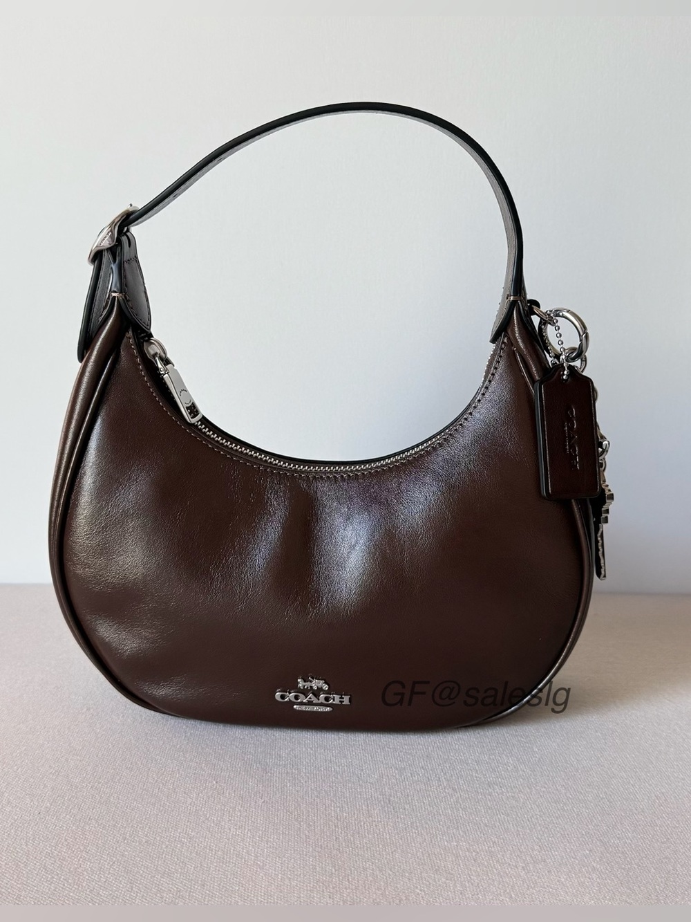 NWT Coach Emily Shoulder Crossbody Bag Silver Maple Shiny smooth Leather CDX34